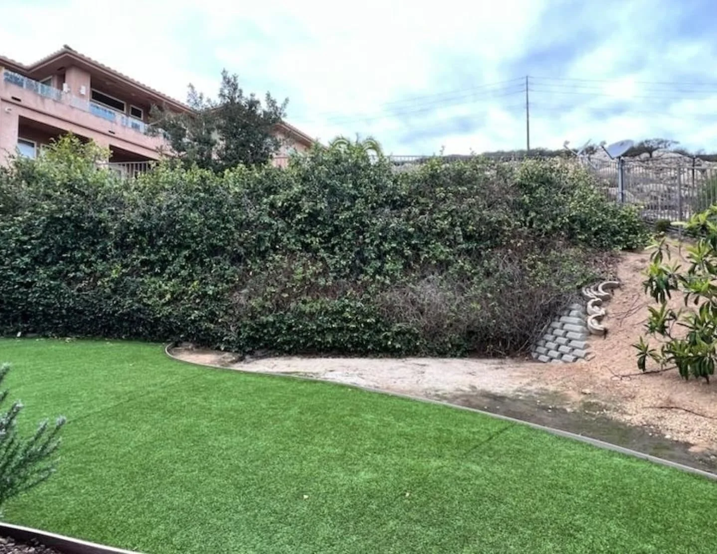 Synthetic turf lawn with curved concrete edging, hedging, and concrete retaining wall installation